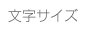 文字サイズ